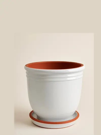Beyaz Sırlı Saksı No 2 Ø20cm -  Saksilar - Lalezar Botanik